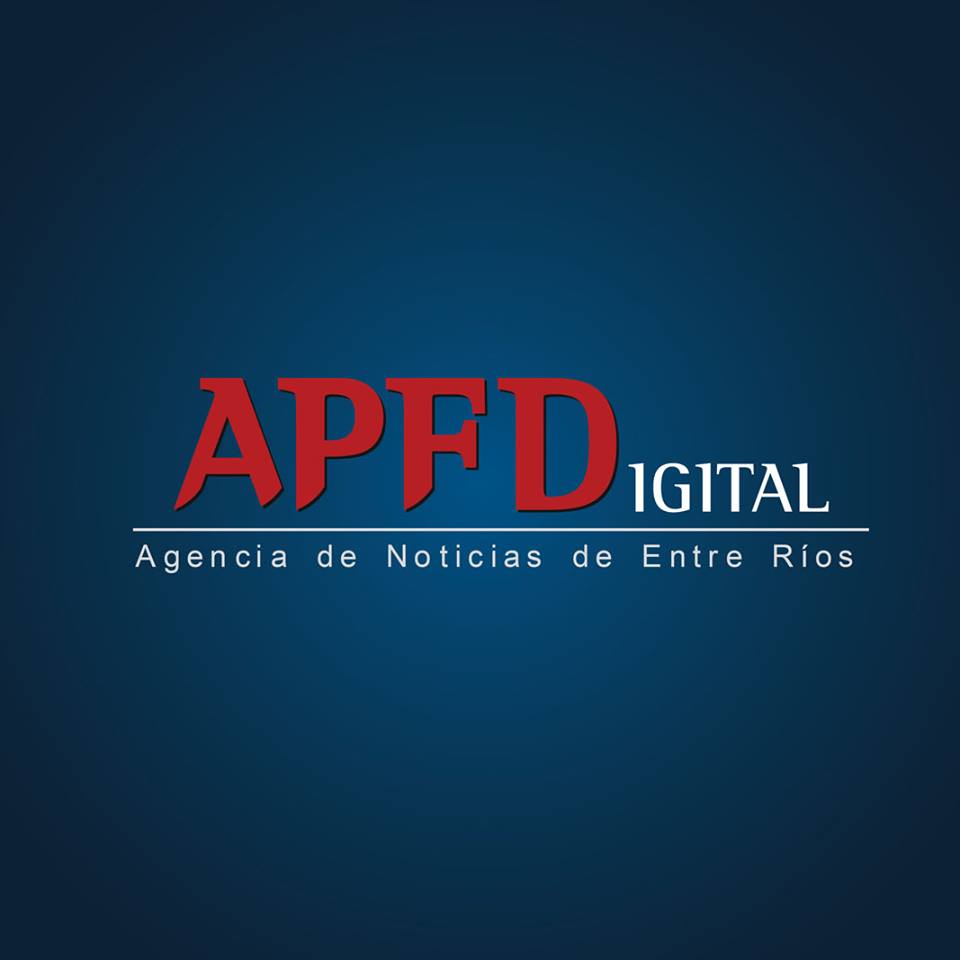 Las exportaciones de carne vacuna cerraron el primer semestre con récord en volumen y valor