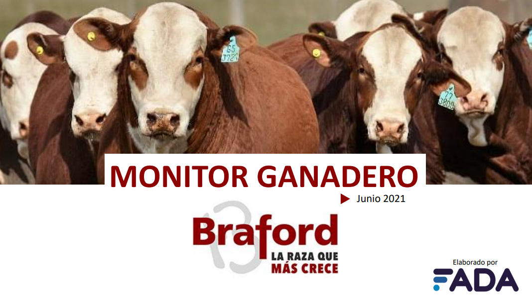 Monitor Ganadero – Junio 2021