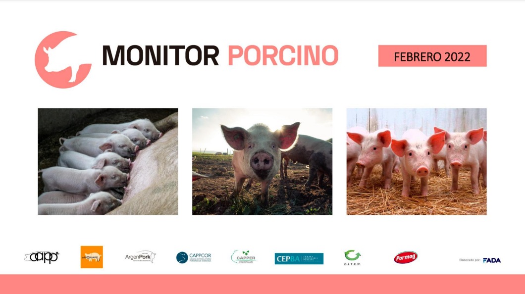 Monitor Porcino – Febrero 2022