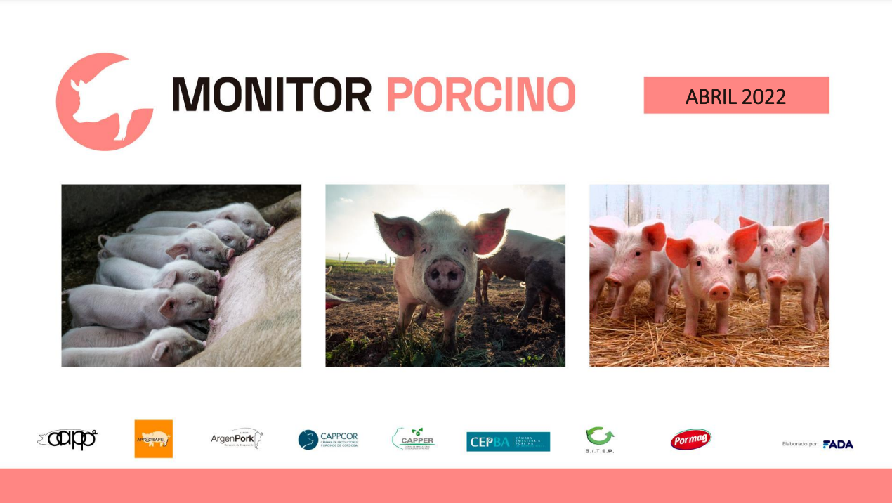 Monitor Porcino – Abril 2022