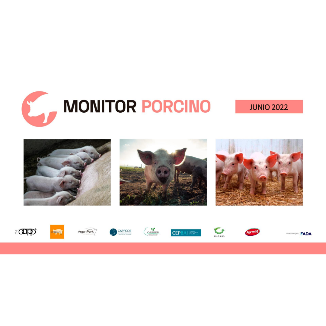 Monitor Porcino – Junio 2022