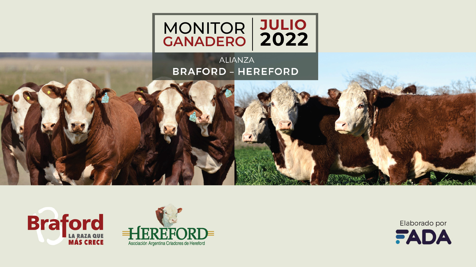 Monitor Ganadero – Julio 2022