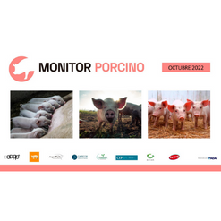 Monitor Porcino – Octubre 2022