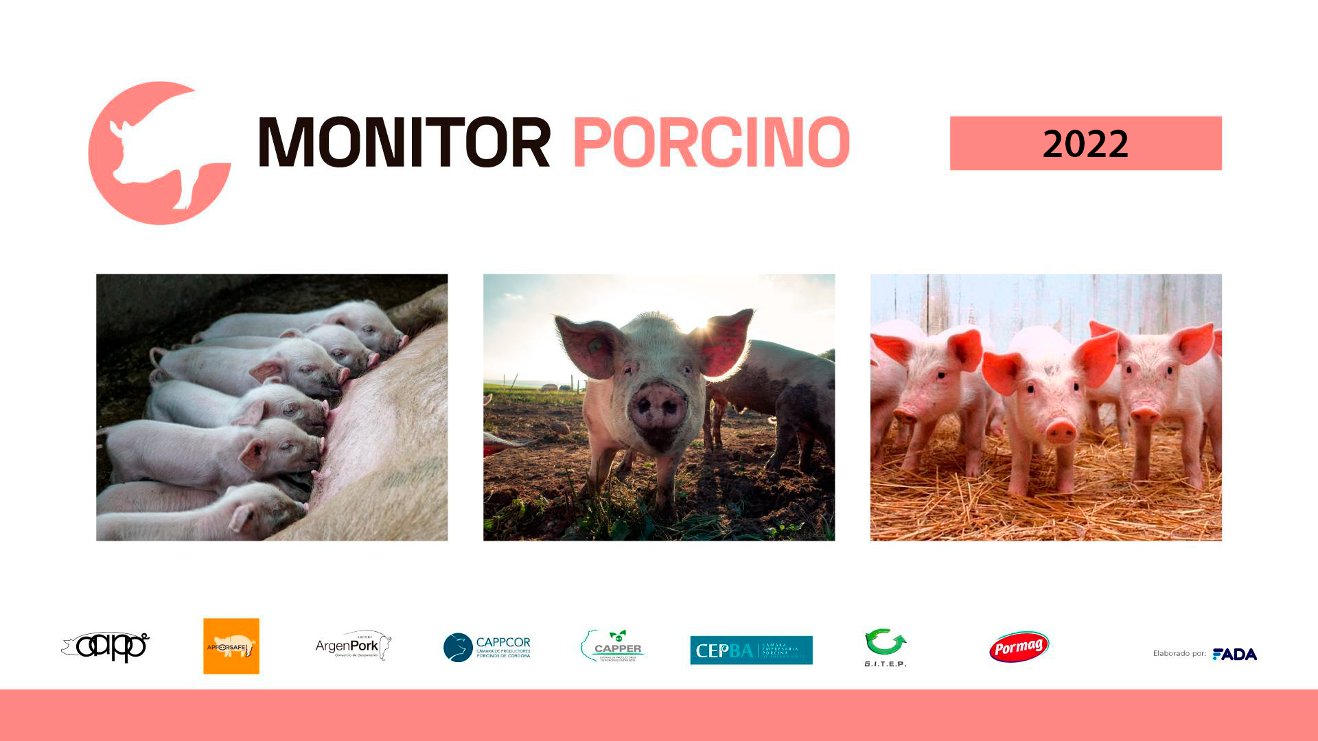Monitor Porcino – 2022