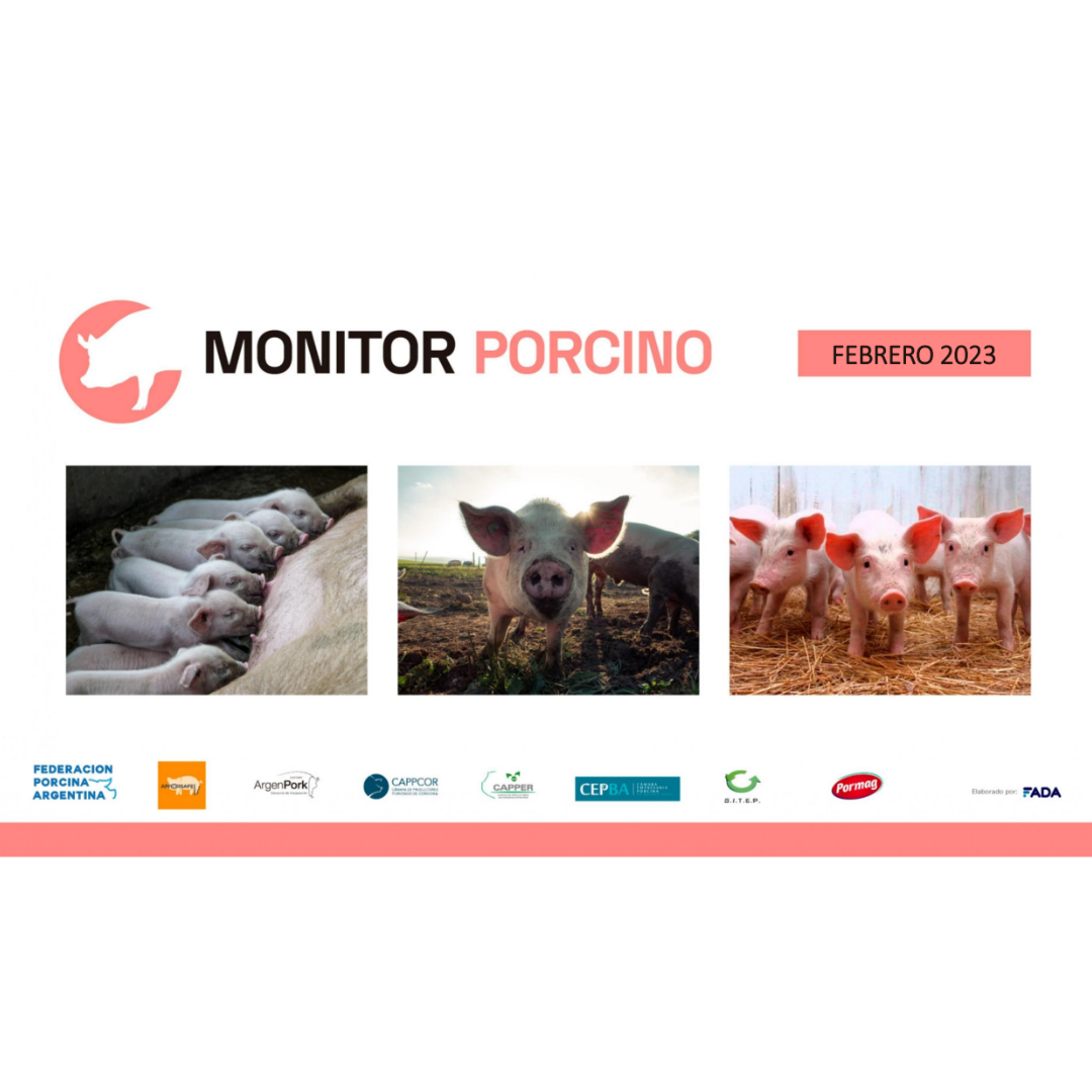Monitor Porcino – Febrero 2023