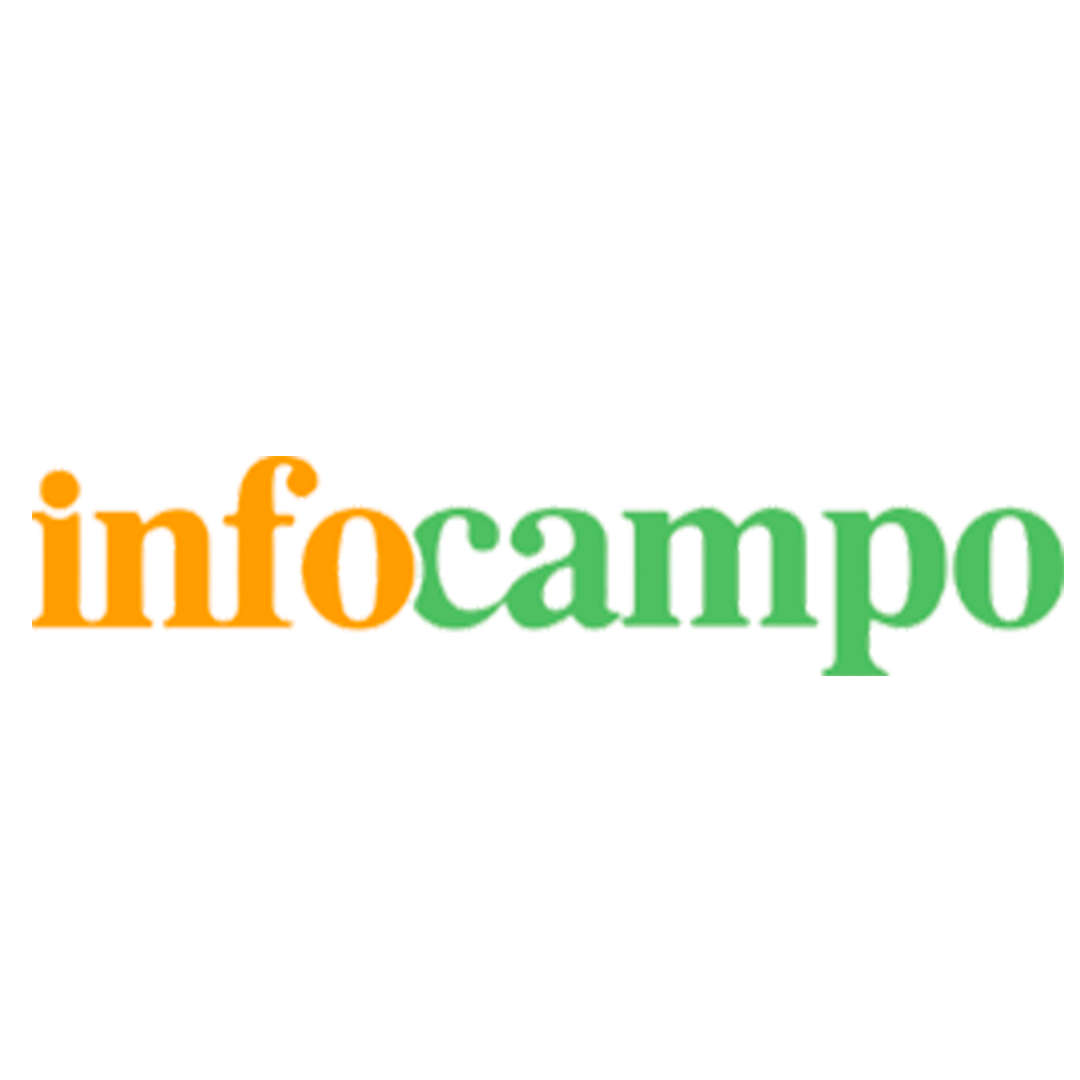 El trigo sufre la peor presión impositiva: cada $100 que genera una hectárea, $78 se los lleva el Estado