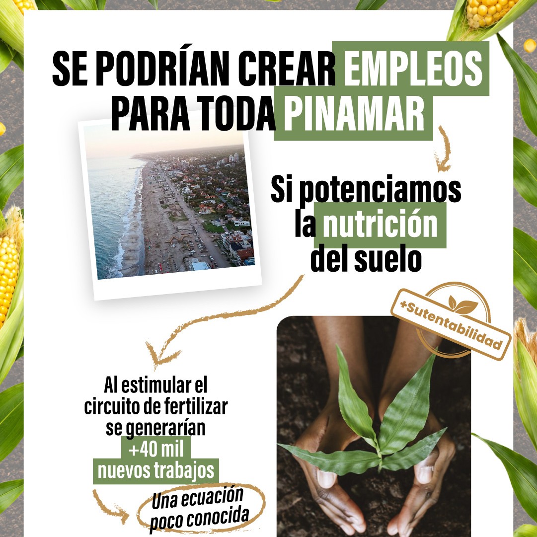 Fertilizantes en Argentina. Evolución reciente y propuestas de políticas públicas